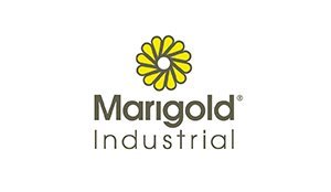 Marigold