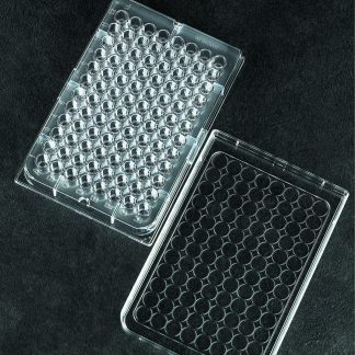 RIGID PLATE 96 FLAT WELL