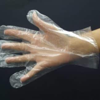 GLOVES DISPOSABLE POLY LARGE